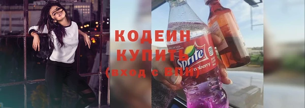 ешки Корсаков