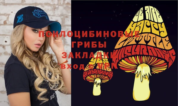 соль курить ск Козельск