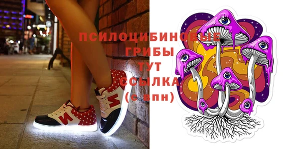 гидропоника Козловка