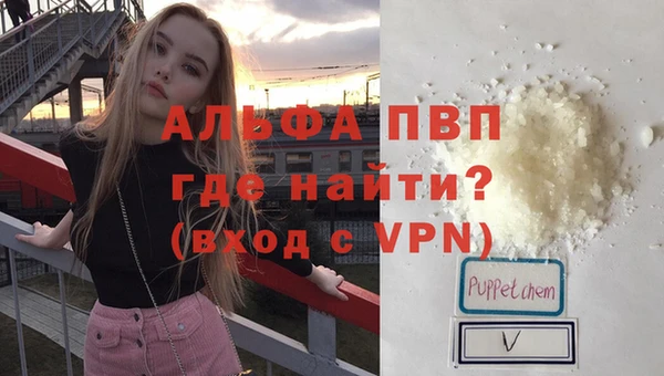 шишки Коряжма