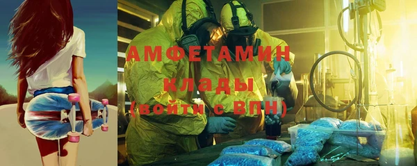 шишки Коряжма