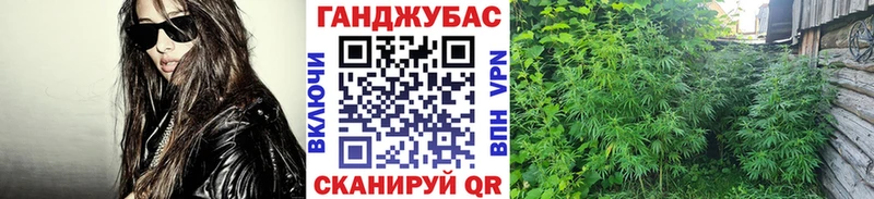 Купить закладки  Волгореченск  Бошки марихуана индика 